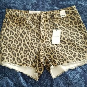 Leopard shorts